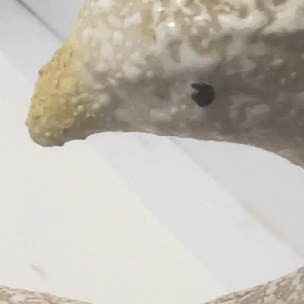 Vintage MCM China Craft Beige Splatter Textured Ceramic Peacock Bird 11.75